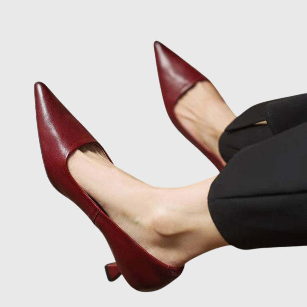 Zhaylisse classic timeless elegant heels